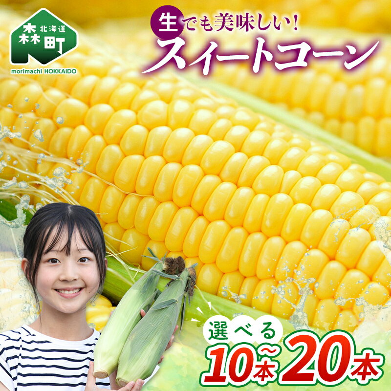 【先行予約】【選べる容量】10本・15本・20本 スイートコーン（イエロー） 北海道森町産（2026年7月上旬～9月中旬頃に順次お届け） とうもろこし トウモロコシ とうきび トウキビ 野菜 やさい 北海道 たっぷり 甘い 期間限定 ふるさと納税 森町 mr1-0875