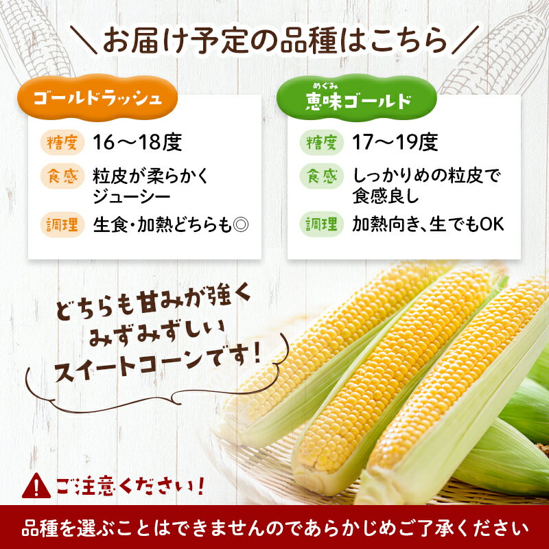 【ふるさと納税】【先行予約】【選べる容量】10本・15本・20本 スイートコーン（イエロー） 北海道森町産（2026年7月上旬～9月中旬頃に順次お届け） とうもろこし トウモロコシ とうきび トウキビ 野菜 やさい 北海道 たっぷり 甘い 期間限定 ふるさと納税 森町 mr1-0875 - 画像2