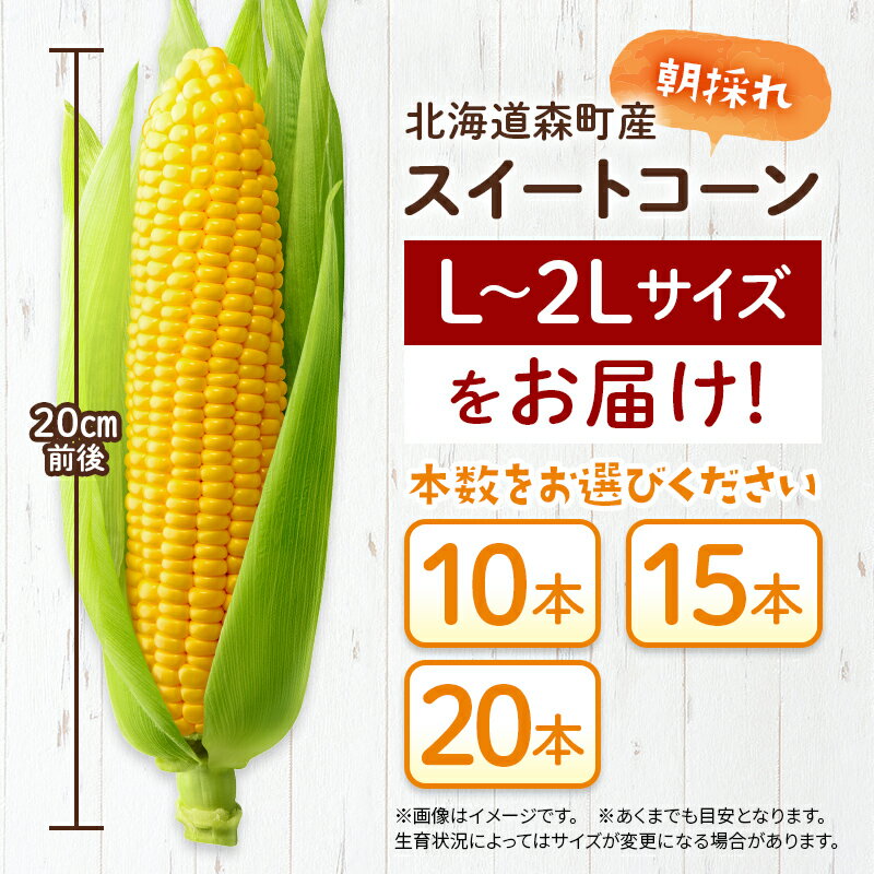 【ふるさと納税】【先行予約】【選べる容量】10本・15本・20本 スイートコーン（イエロー） 北海道森町産（2026年7月上旬～9月中旬頃に順次お届け） とうもろこし トウモロコシ とうきび トウキビ 野菜 やさい 北海道 たっぷり 甘い 期間限定 ふるさと納税 森町 mr1-0875 - 画像3