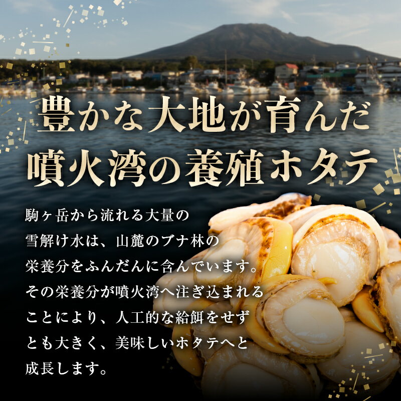 【ふるさと納税】 高評価★4.9 訳あり 北海道 蒸しほたて 噴火湾産 ほたて 800g サイズ不選別 ＜カネキチ澤田水産＞小分け ボイルホタテ ほたて 帆立 ホタテ 海産物 魚貝類 北海道 mr1-0927 サムネイル2