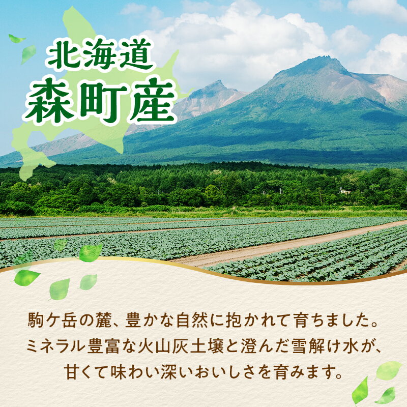 【ふるさと納税】 ＼選べる容量・定期便／ 小分け カット済み ブロッコリー 冷凍 1.2kg 2.4kg 北海道森町産 野菜 おかず お弁当 便利 小分け カット済み ブロッコリー 冷凍 mr1-1003 - 画像2