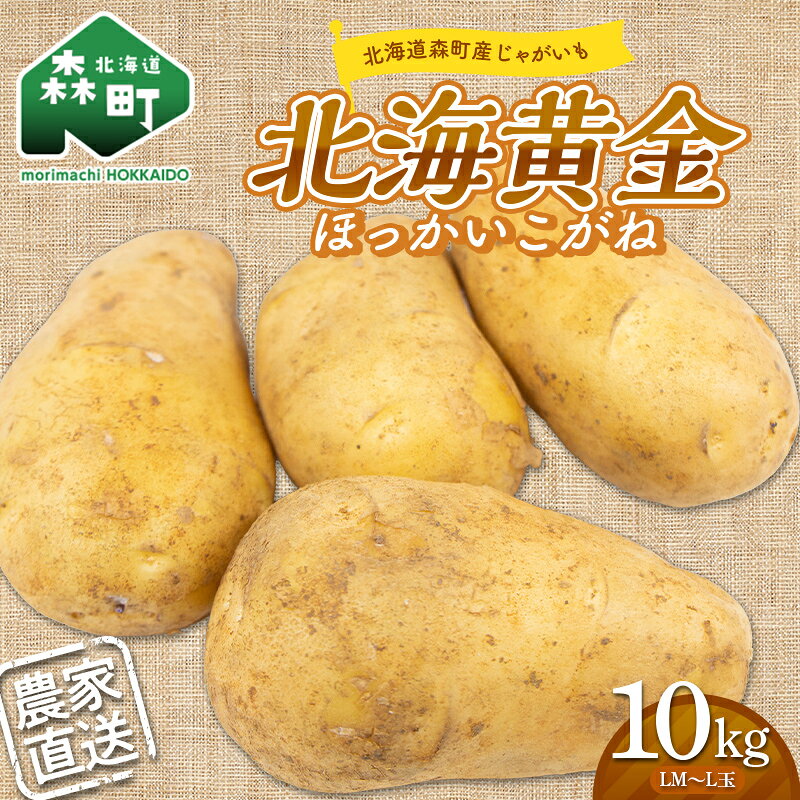 【先行予約】希少！北海道森町産じゃがいも「北海黄金ほっかいこがね」LM～L玉 約10kg（2026年9月より順次発送） ＜株式会社 商舎＞ じゃがいも ジャガイモ 北海黄金 ほっかいこがね 北海道産 ふるさと納税 北海道 森町 mr1-1341