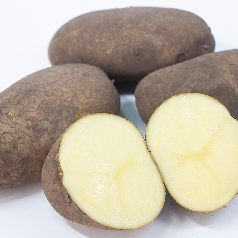 【ふるさと納税】【先行予約】希少！北海道森町産じゃがいも「北海黄金ほっかいこがね」LM～L玉 約10kg（2026年9月より順次発送） ＜株式会社 商舎＞ じゃがいも ジャガイモ 北海黄金 ほっかいこがね 北海道産 ふるさと納税 北海道 森町 mr1-1341 - 画像2