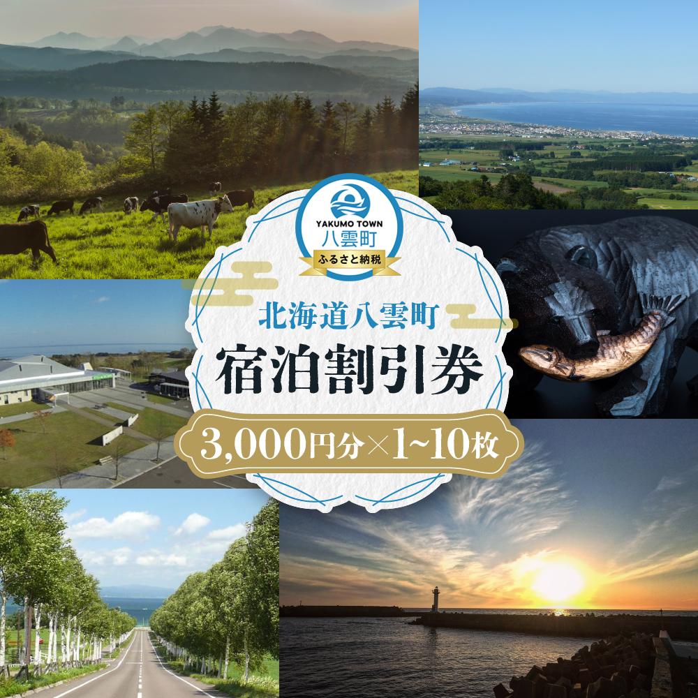【枚数選択可能】北海道八雲町　宿泊割引券3,000円分 1枚～10枚【 宿泊券 割引券 旅行 ホテル ホテルチケット 観光 宿泊 ご当地 八雲町 北海道 】
