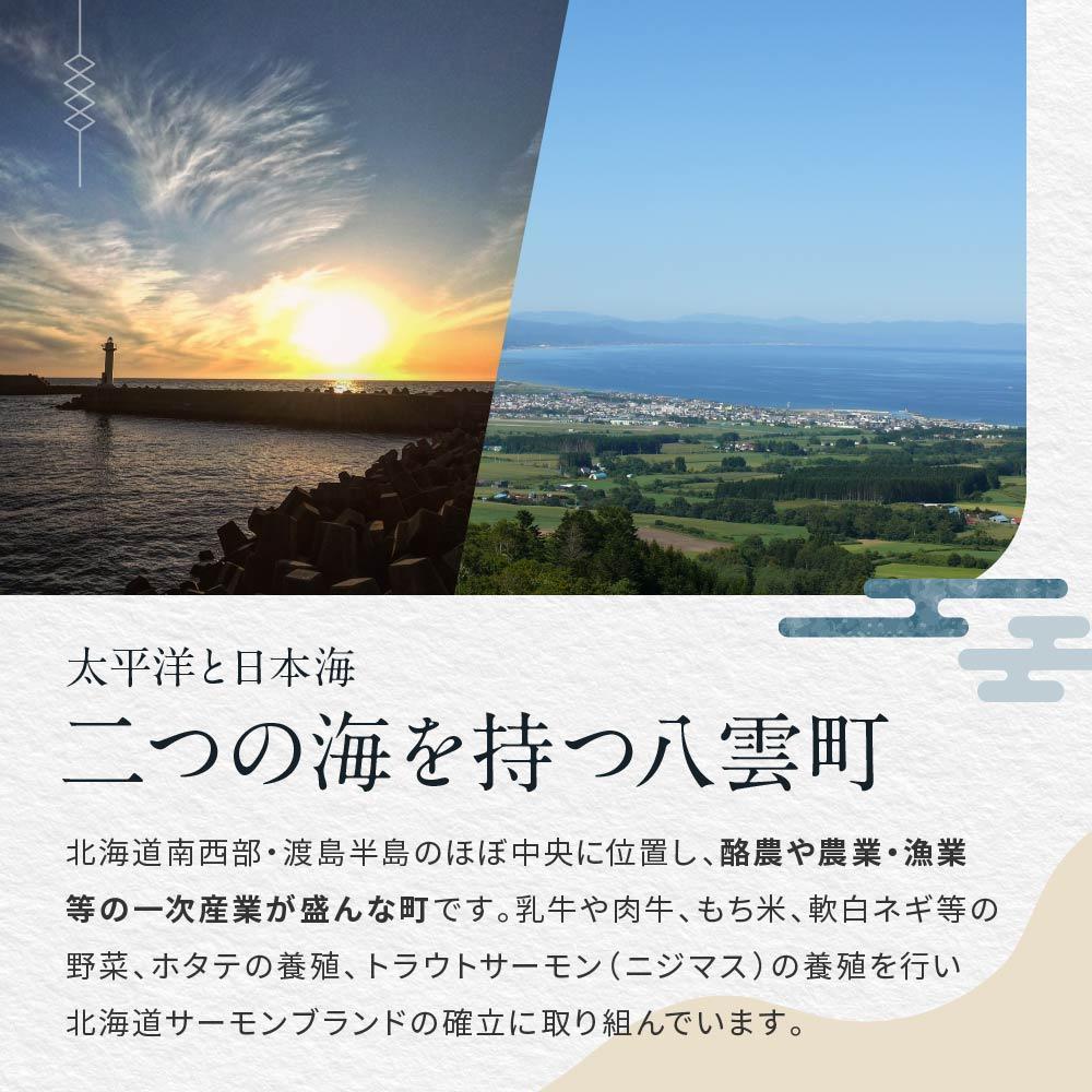 【ふるさと納税】【枚数選択可能】北海道八雲町　宿泊割引券3,000円分 1枚～10枚【 宿泊券 割引券 旅行 ホテル ホテルチケット 観光 宿泊 ご当地 八雲町 北海道 】 サムネイル2