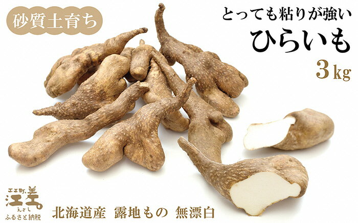 【ふるさと納税】北海道産 ひらいも 3kg　砂質土育ち とっても粘りが強い 北海道の山芋　もちもち食感　露地もの　無漂白　ねばり芋　やまと芋　長芋　自然薯　山かけ　とろろ　いももち　豚汁 - 画像2