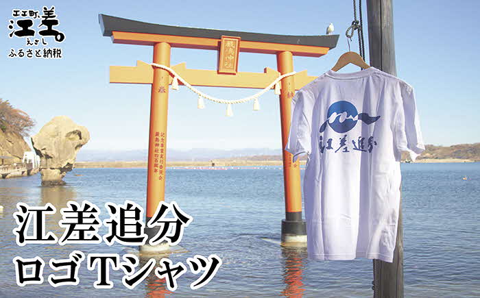 【ふるさと納税】江差追分 ロゴTシャツ【Sサイズ】肌触りのよい綿100％　男女兼用　トップス　インナー　丸首　半袖　ティーシャツ　綿　4サイズ展開（S・M・L・XL） サムネイル2