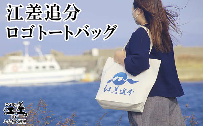 【ふるさと納税】江差追分 ロゴトートバッグ　丈夫なキャンバス生地　A3が入る大きめサイズ　舟底　シンプル　 カジュアル　エコバッグ サムネイル2