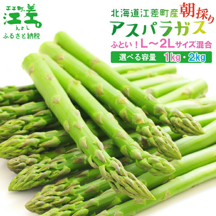 ＼春アスパラ 先行予約 2026年4月～順次出荷予定／ 北海道江差町産 アスパラガス L～2Lサイズ〈選べる容量 1kg・2kg〉 1kgあたり約20本　太い！ 甘い！ ジューシー！　朝採り　農家直送　新鮮　鮮度保持　旬野菜　グリーンアスパラ　ギフト　贈答