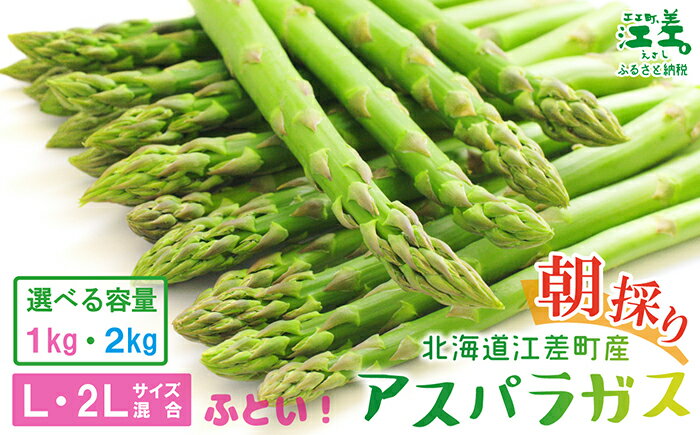 【ふるさと納税】＼春アスパラ 先行予約 2026年4月～順次出荷予定／ 北海道江差町産 アスパラガス L～2Lサイズ〈選べる容量 1kg・2kg〉 1kgあたり約20本　太い！ 甘い！ ジューシー！　朝採り　農家直送　新鮮　鮮度保持　旬野菜　グリーンアスパラ　ギフト　贈答 - 画像2
