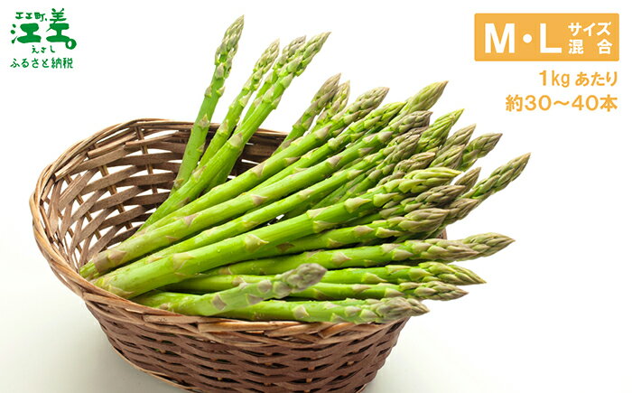 【ふるさと納税】＼春アスパラ 先行予約 2026年4月～順次出荷予定／北海道江差町産 アスパラガス〈選べる容量 M・L／S・M／訳あり不揃い〉1kg　朝採り　農家直送　新鮮　鮮度保持　北海道　旬野菜　グリーンアスパラ　アスパラガス　贈答　ギフト - 画像3