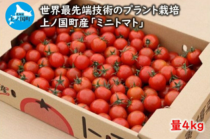 寅福菜園のミニトマト（4kg）