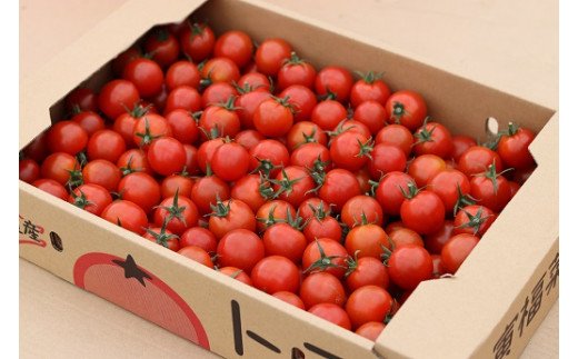 【ふるさと納税】寅福菜園のミニトマト（4kg） - 画像2