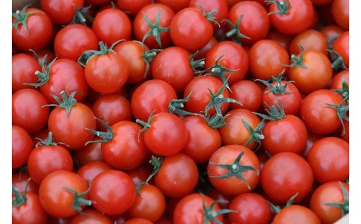 【ふるさと納税】寅福菜園のミニトマト（4kg） - 画像3