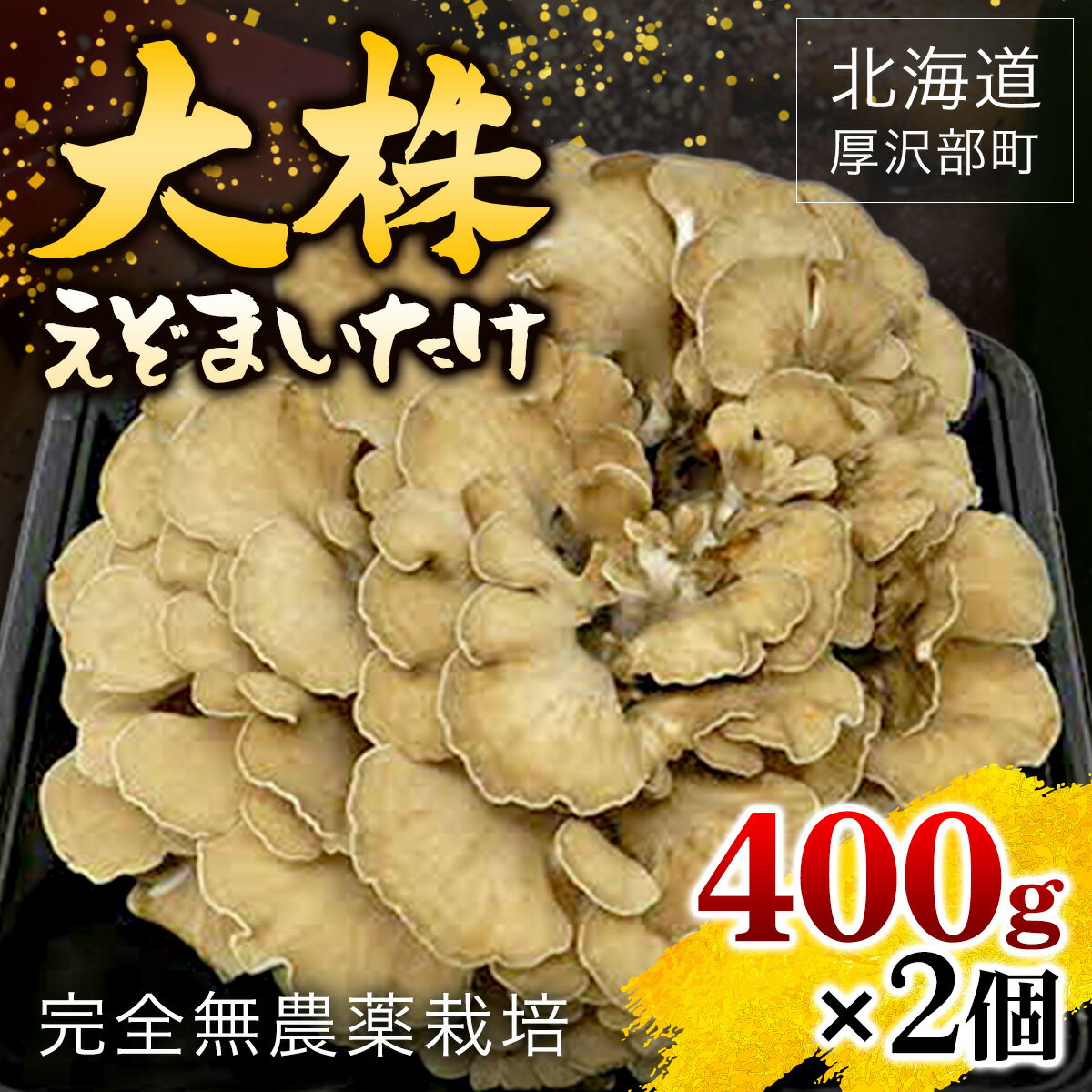 北海道厚沢部町産　大株えぞまいたけ　400g×2個 ふるさと納税 人気 おすすめ ランキング えぞまいたけ まいたけ 舞茸 マイタケ 鍋 天ぷら すき焼き 味噌汁 炒め物 北海道 厚沢部 送料無料 ASM001