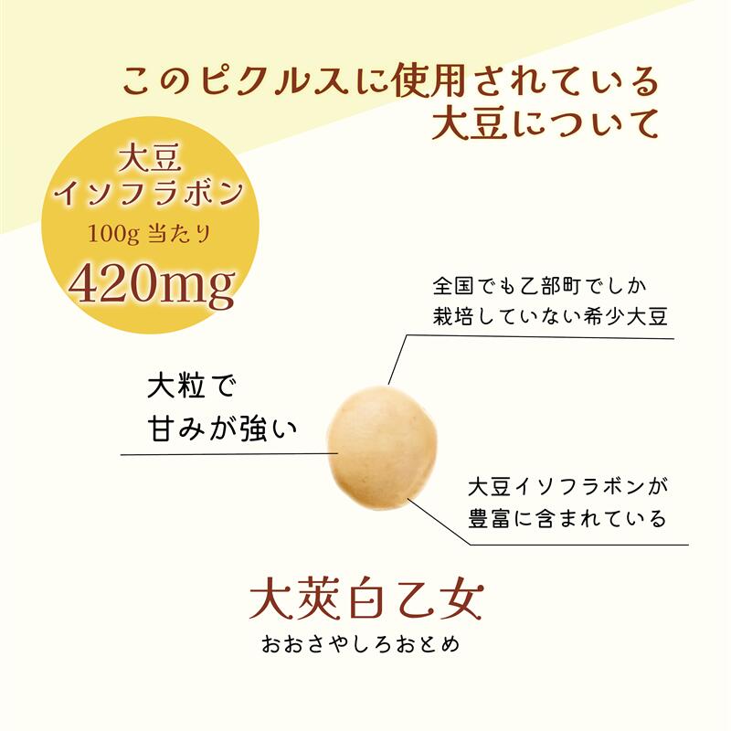 【ふるさと納税】＜マダムのすづけ　大莢白乙女　レモン＆フェンネル　1本＞乙部町産大莢白乙女使用　大豆のピクルス　大豆　ピクルス　北海道 乙部町 地大豆　大豆　大豆イソフラボン　豊富　ピクルス　酢　さっぱり　レモン　フェンネル　ハーブ　美容 - 画像2