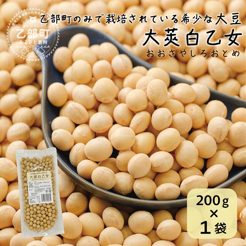 ＜大莢白乙女大豆　1袋＞大粒で甘い乙部町地大豆 北海道 北海道産 道産 国産 国産大豆 乙部町 地大豆 特産品 大豆 甘い 大粒 コク