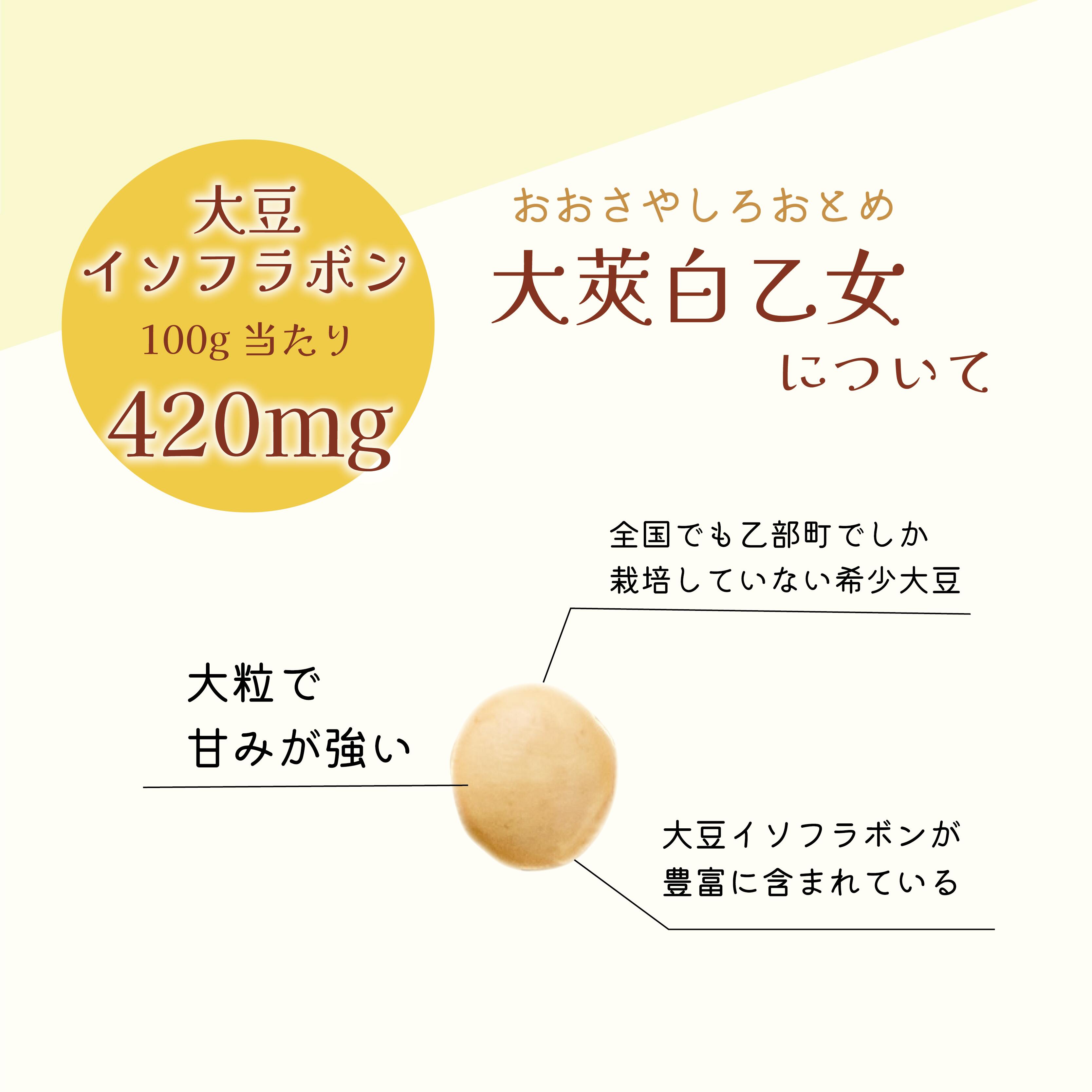 【ふるさと納税】＜大莢白乙女大豆　1袋＞大粒で甘い乙部町地大豆 北海道 北海道産 道産 国産 国産大豆 乙部町 地大豆 特産品 大豆 甘い 大粒 コク サムネイル2