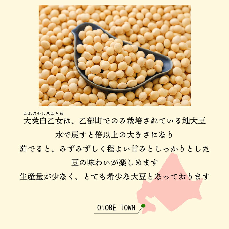 【ふるさと納税】＜大莢白乙女大豆　1袋＞大粒で甘い乙部町地大豆 北海道 北海道産 道産 国産 国産大豆 乙部町 地大豆 特産品 大豆 甘い 大粒 コク サムネイル3