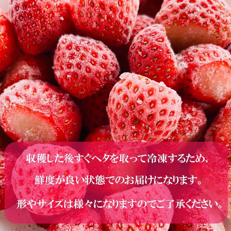【ふるさと納税】＜山科農園の冷凍すずあかね　1kg＞甘酸っぱさが魅力の冷凍いちご 北海道 乙部町産 冷凍 いちご すずあかね 1kg 甘酸っぱい 爽やかな味わい 夏いちご 北海道産 山科農園 ジャム スムージー 削りいちご サムネイル3