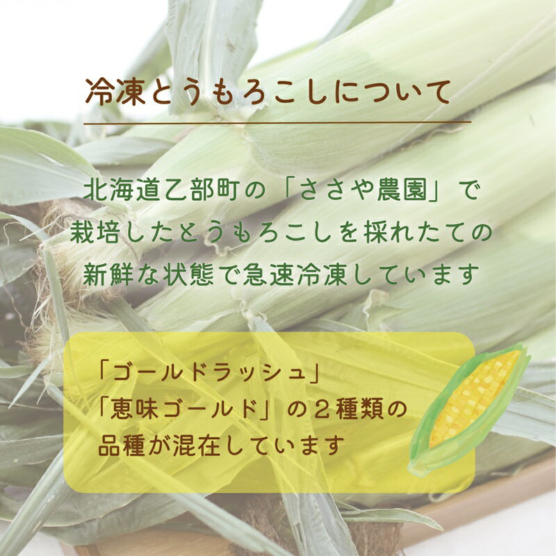 【ふるさと納税】＜ささや農園産 極★凍結とうもろこし 6本＞北海道 道産 国産 乙部町 とうもろこし とうきび 冷凍 急速冷凍 鮮度そのまま 甘さ 糖度 個包装 ゴールドラッシュ 恵味ゴールド - 画像2