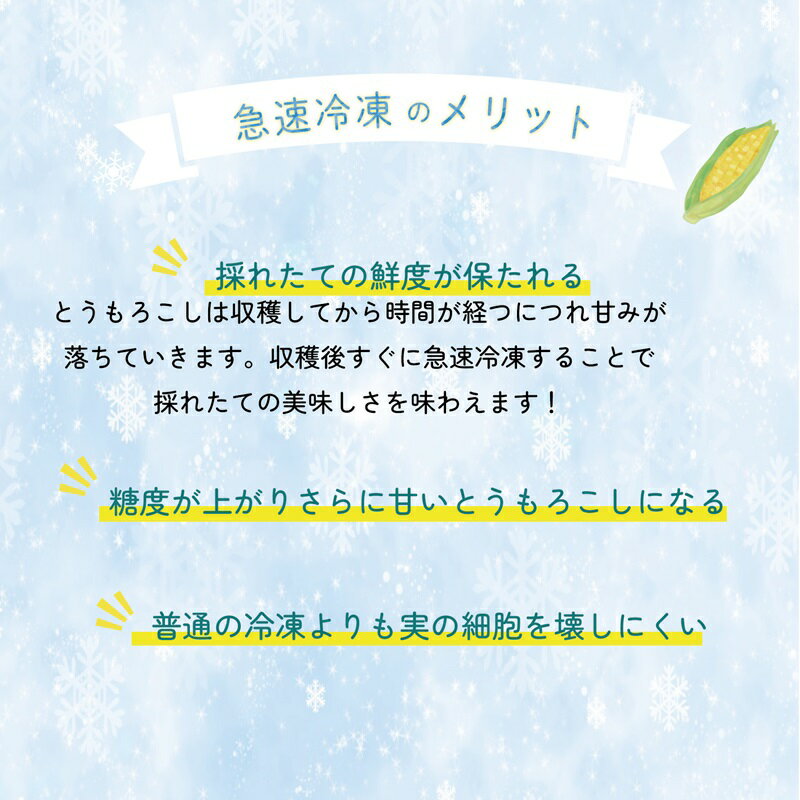 【ふるさと納税】＜ささや農園産 極★凍結とうもろこし 6本＞北海道 道産 国産 乙部町 とうもろこし とうきび 冷凍 急速冷凍 鮮度そのまま 甘さ 糖度 個包装 ゴールドラッシュ 恵味ゴールド - 画像3