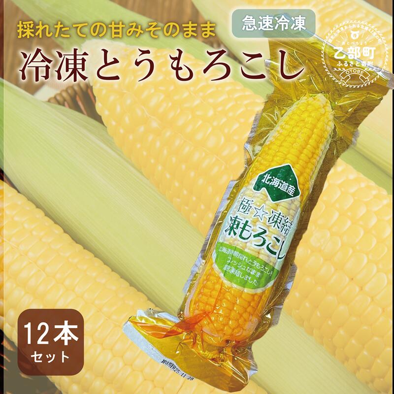 ＜ささや農園産 極★凍結とうもろこし 12本＞北海道 道産 国産 乙部町 とうもろこし とうきび 冷凍 急速冷凍 鮮度そのまま 甘さ 糖度 個包装 ゴールドラッシュ 恵味ゴールド