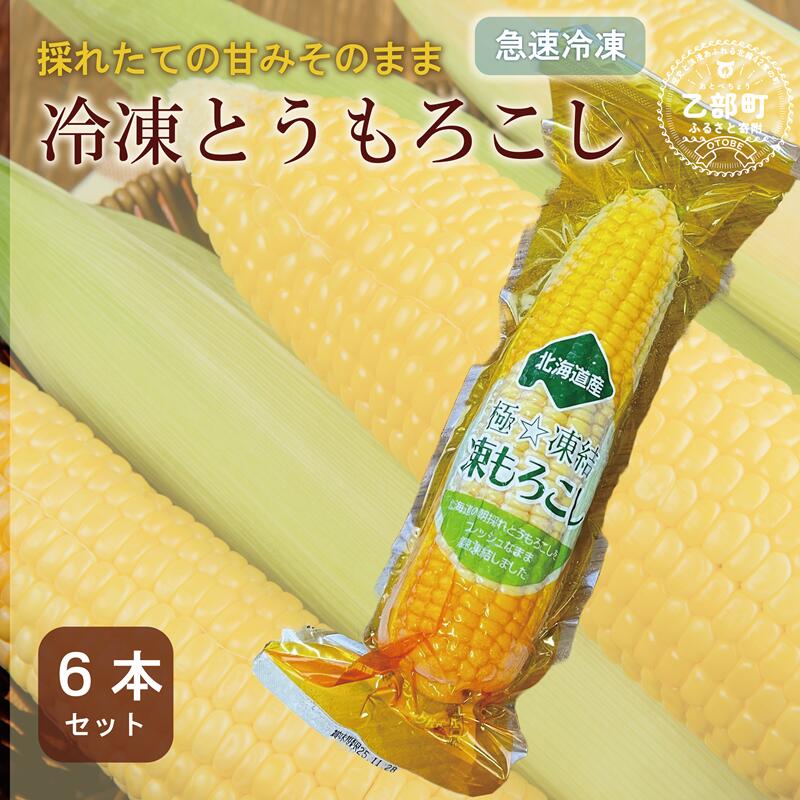 ＜ささや農園産 極★凍結とうもろこし 6本＞北海道 道産 国産 乙部町 とうもろこし とうきび 冷凍 急速冷凍 鮮度そのまま 甘さ 糖度 個包装 ゴールドラッシュ 恵味ゴールド