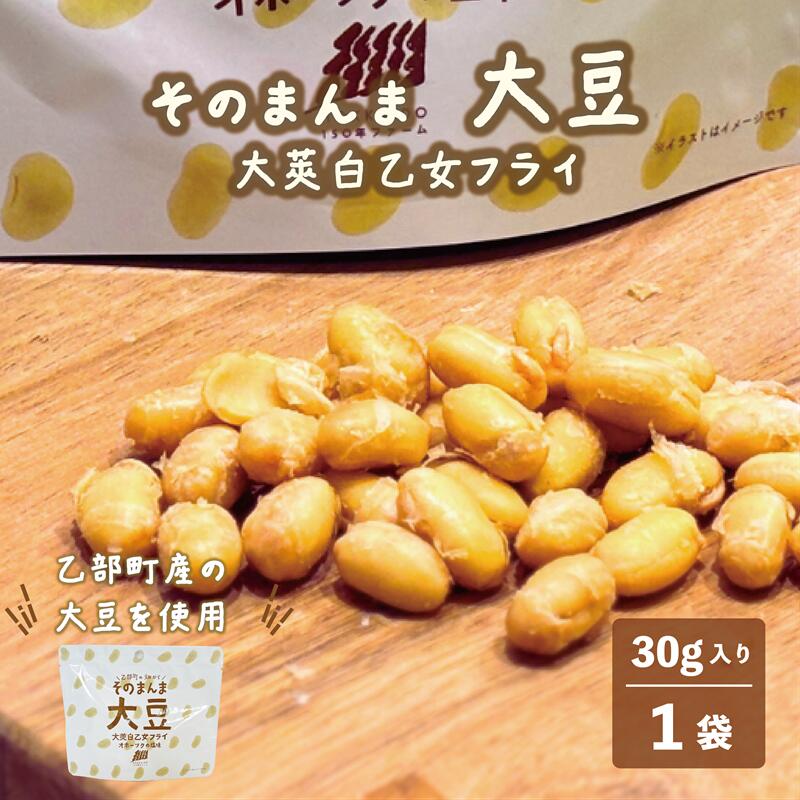 ＜大莢白乙女フライ 1個セット＞北海道 北海道産 大莢白乙女 大豆 フライ そのまんま そのまんまシリーズ