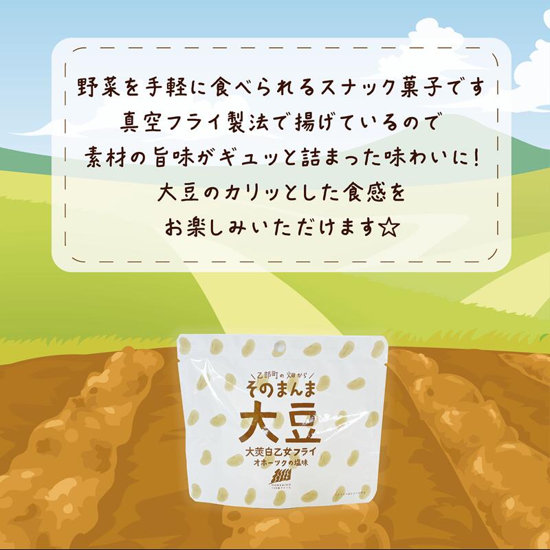 【ふるさと納税】＜大莢白乙女フライ 1個セット＞北海道 北海道産 大莢白乙女 大豆 フライ そのまんま そのまんまシリーズ - 画像3