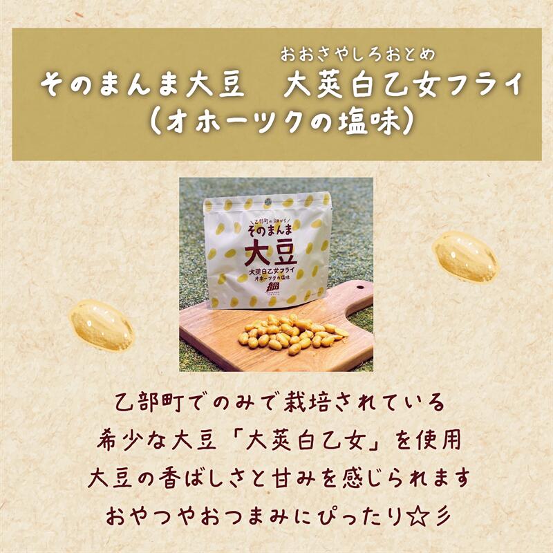 【ふるさと納税】＜大莢白乙女フライ 1個セット＞北海道 北海道産 大莢白乙女 大豆 フライ そのまんま そのまんまシリーズ - 画像2