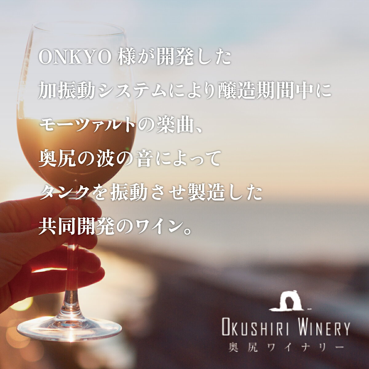 【ふるさと納税】「奥尻ワイン」OKUSHIRI　『風揺139.4，42.1 メルロー2022』 ふるさと納税 人気 おすすめ ランキング ワイン 奥尻ワイン 赤ワイン メルロー 赤 OKUSHIRI 北海道 奥尻町 送料無料 OKUM010 サムネイル2
