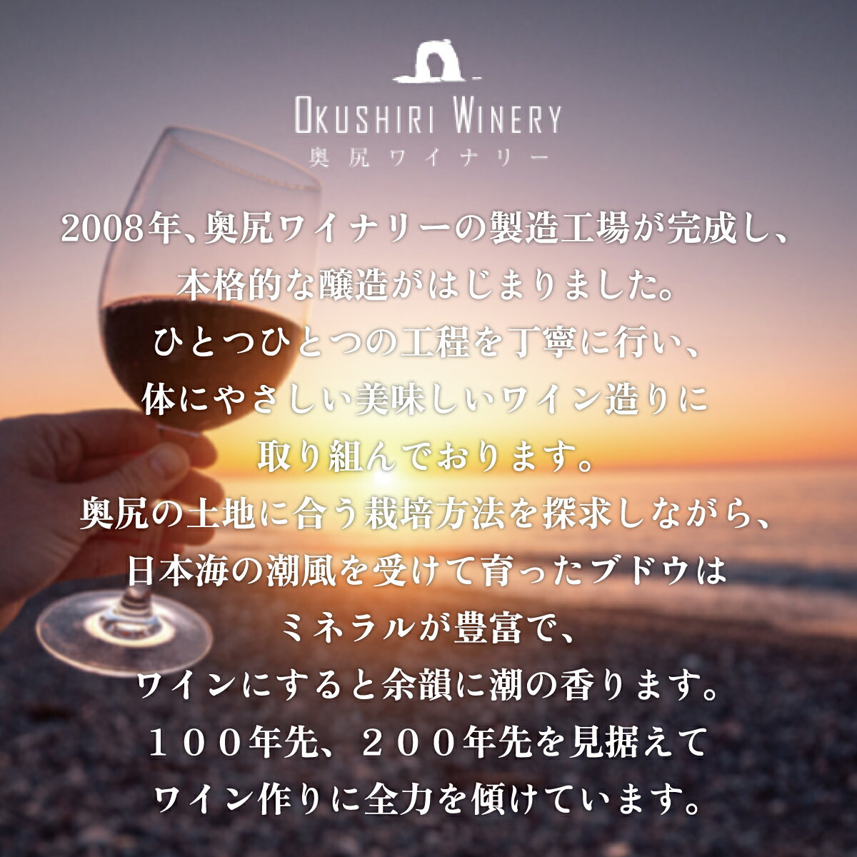 【ふるさと納税】奥尻ワインメルロー（白）750ml 【 ふるさと納税 人気 おすすめ ランキング ワイン わいん 奥尻ワイン 白ワイン メルロー 白 アルコール 北海道 奥尻町 送料無料 】 OKUM016 サムネイル2