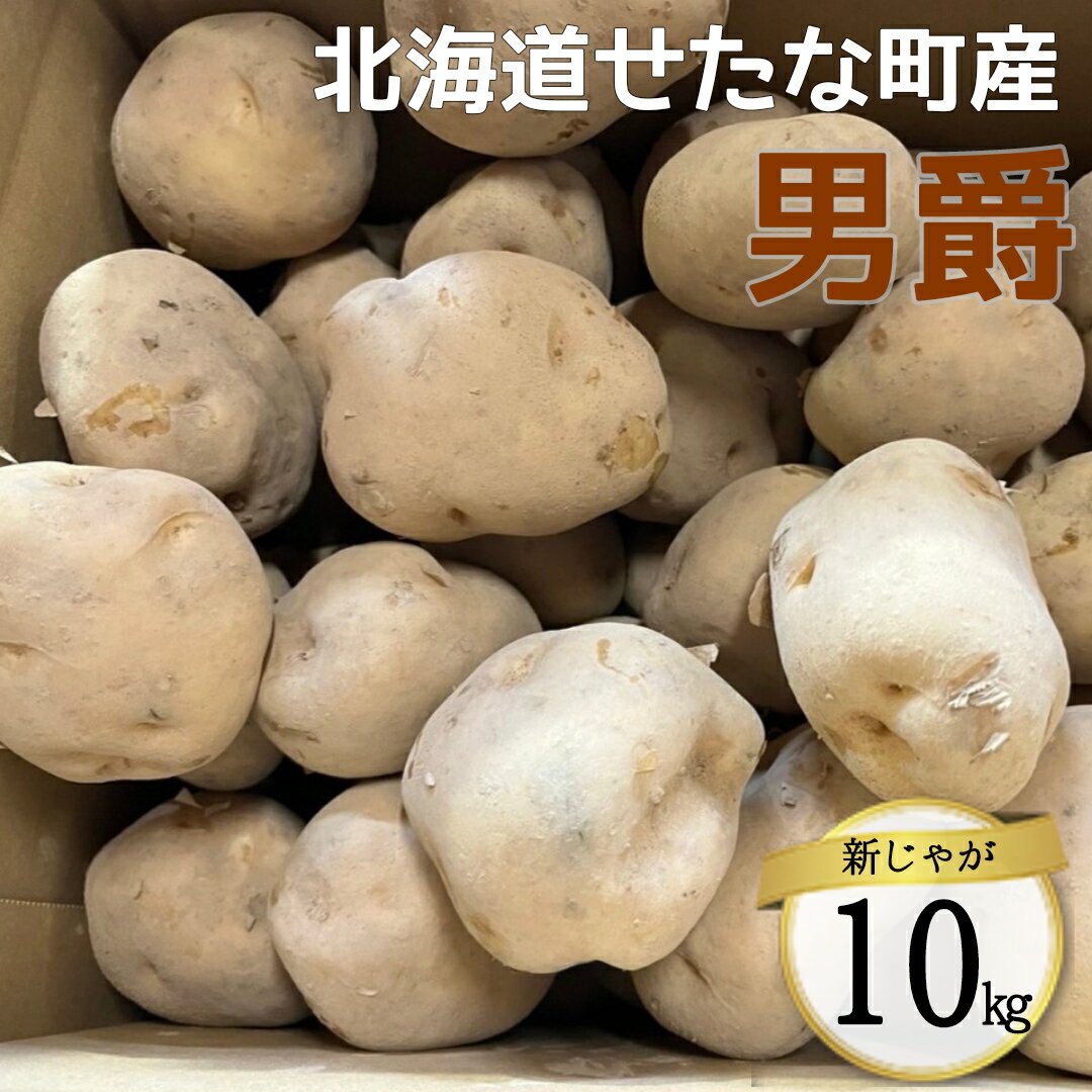 【2025年10下旬から順次発送】【令和7年産】北海道 せたな町産 男爵 10kg 男爵いも 芋 新じゃが じゃがいも 野菜