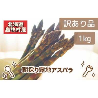 先行予約【訳あり】島牧村産アスパラガス 1kg(冷蔵便)【2026年5月上旬～発送予定】【配送不可地域：離島】【1705088】