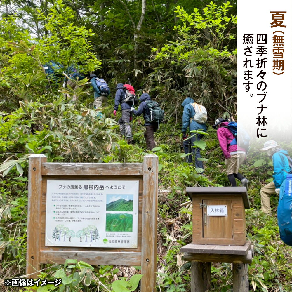 【ふるさと納税】黒松内町観光協会「北限のブナ林ガイドウォーク」(1時間半)2名様　体験チケット体験 アクティビティ ガイド レジャー チケット 散策 観光 北海道ふるさと納税 ふるさと納税 北海道 黒松内町 通販 ギフト 贈答品 贈り物 サムネイル3