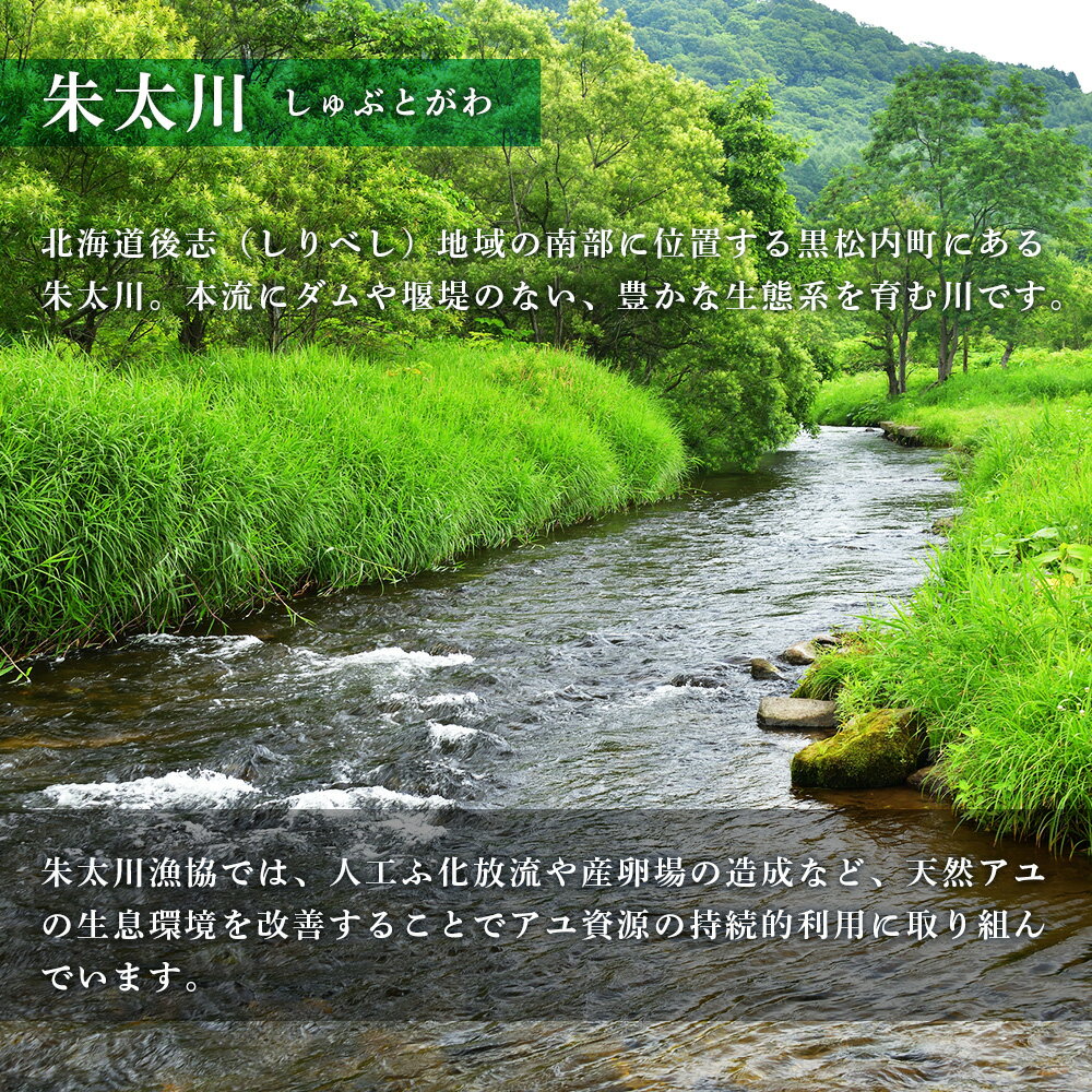 【ふるさと納税】黒松内朱太川産 冷凍秋あゆ（落ち鮎）セット（200g×4つ 計800g）【数量限定】天然 あゆ 秋鮎 冷凍 落ち鮎 真空パック さび鮎 北海道ふるさと納税 ふるさと納税 北海道 黒松内町 通販 ギフト 贈答品 贈り物 サムネイル3