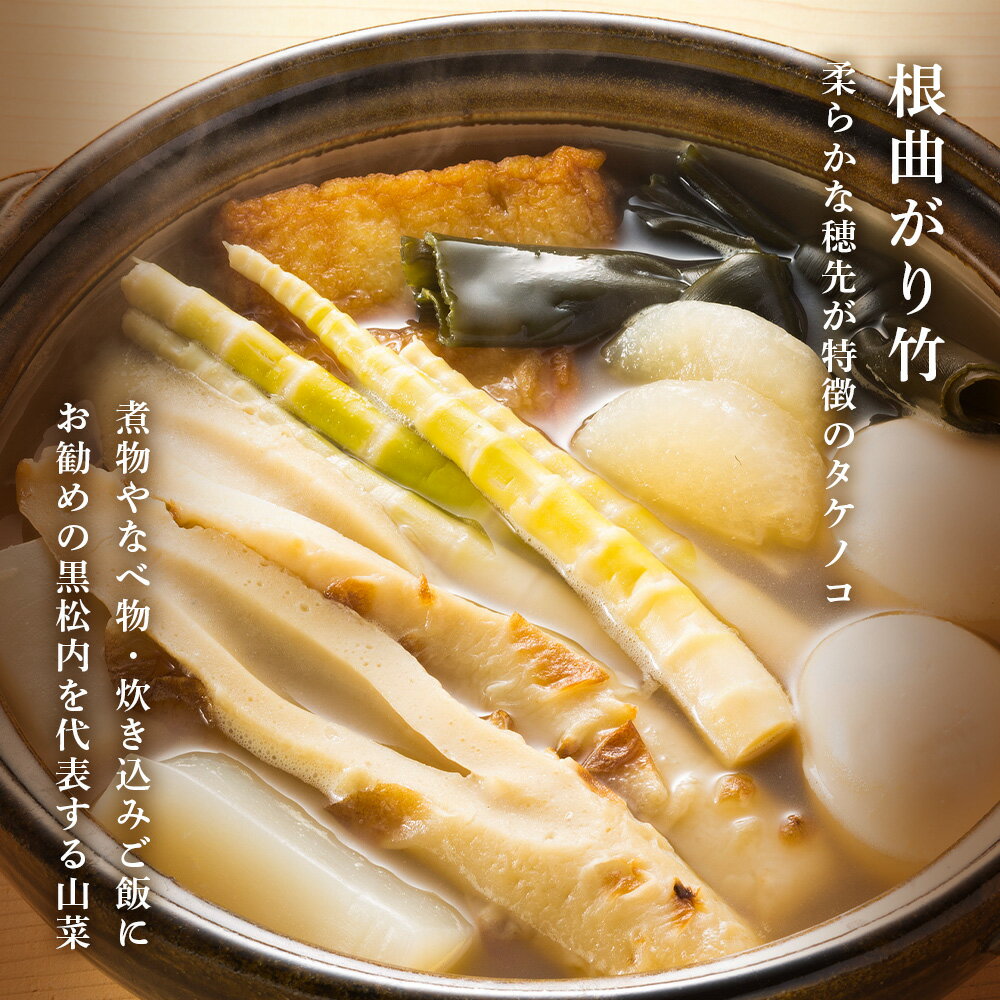 【ふるさと納税】根曲がり竹の水煮とオリジナル珍味のセット☆料理 瓶詰 たけのこ 竹の子 鮭トバ タラ ホッケ カレイ ふるさと納税 黒松内町北海道ふるさと納税 ふるさと納税 北海道 黒松内町 通販 ギフト 贈答品 贈り物 - 画像2