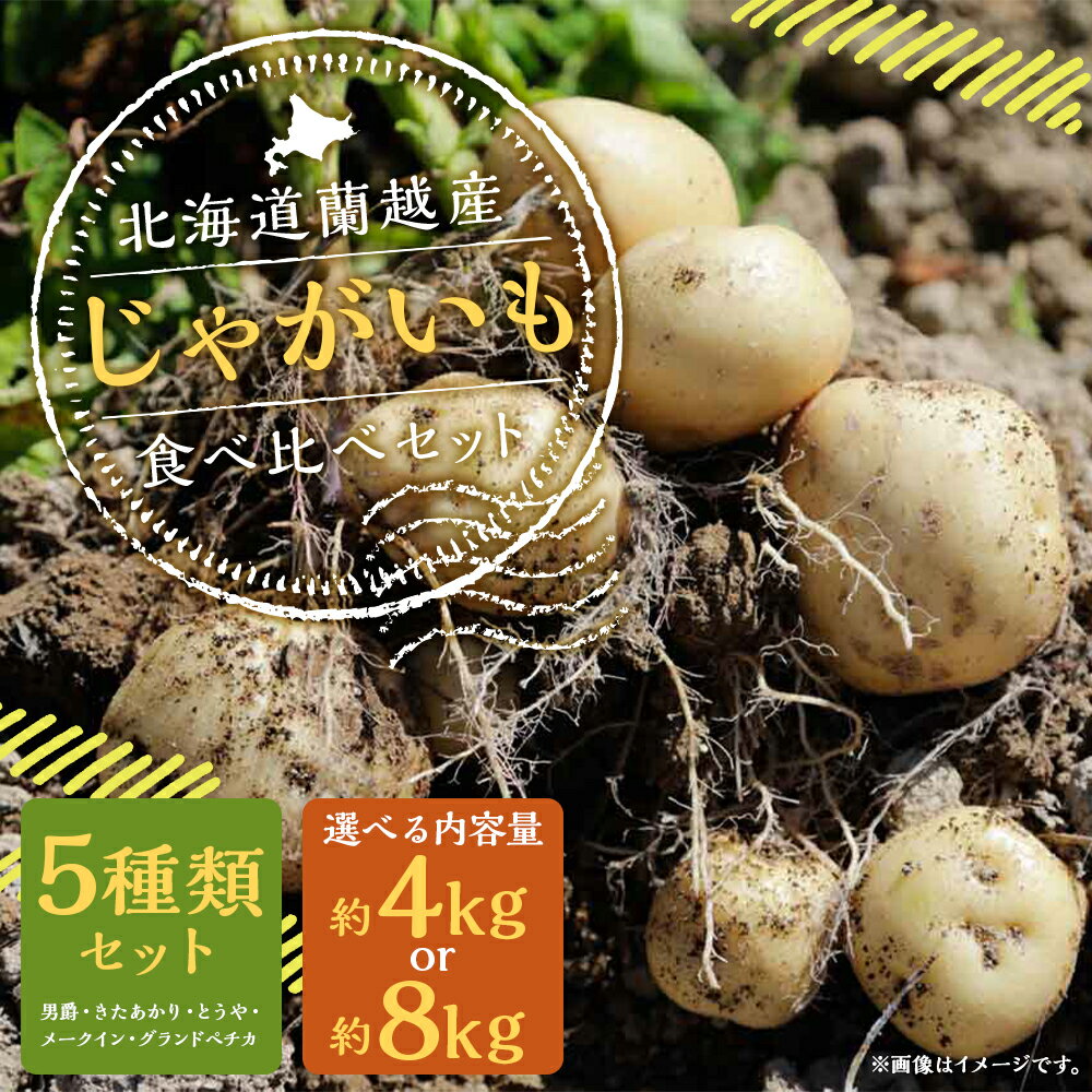 【ふるさと納税】北海道蘭越産じゃがいも 食べ比べ5種類セット 約4kg/約8kg 選べる内容量 男爵 きたあかり とうや メークイン グランドペチカ じゃが芋 芋 野菜 蘭越町産 北海道産 国産 送料無料【2025年11月下旬～2026年4月上旬に順次発送予定】 - 画像2