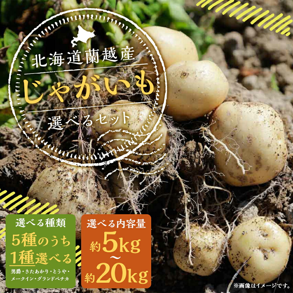 【ふるさと納税】北海道蘭越産じゃがいも 約5kg/約10kg/約20kg 5種類から1種類選べるセット 選べる内容量 男爵 きたあかり とうや メークイン グランドペチカ 蘭越町産 北海道産 国産 送料無料【2025年11月下旬～2026年4月上旬に順次発送予定】 サムネイル2