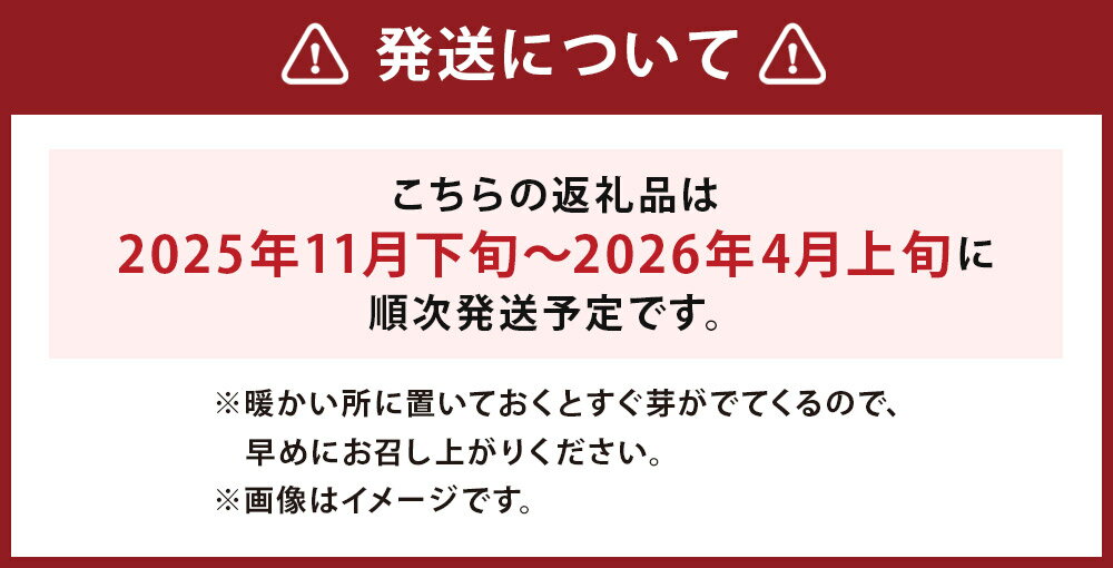 【ふるさと納税】北海道蘭越産じゃがいも 約5kg/約10kg/約20kg 5種類から1種類選べるセット 選べる内容量 男爵 きたあかり とうや メークイン グランドペチカ 蘭越町産 北海道産 国産 送料無料【2025年11月下旬～2026年4月上旬に順次発送予定】 サムネイル3