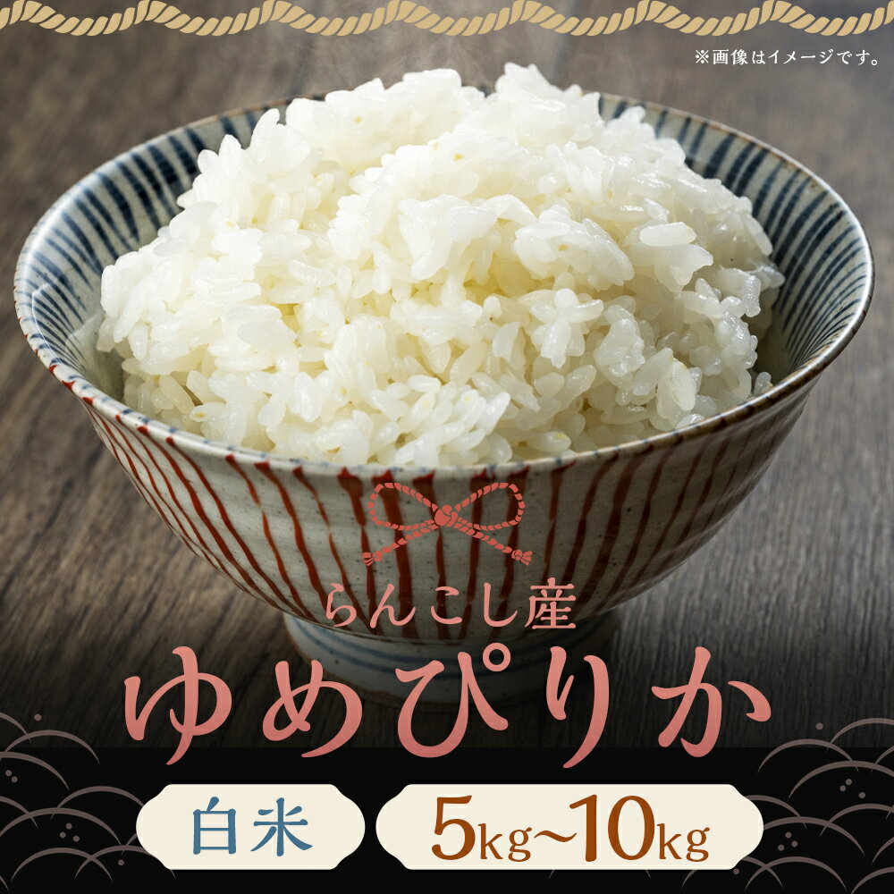 【ふるさと納税】【令和7年産】らんこし産 ゆめぴりか 白米 【中村農場】 5kg/10kg 選べる内容量 精米 お米 令和7年産 蘭越町産 北海道産 送料無料 【10kg：2025年10月上旬～2026年7月下旬発送予定】 - 画像3