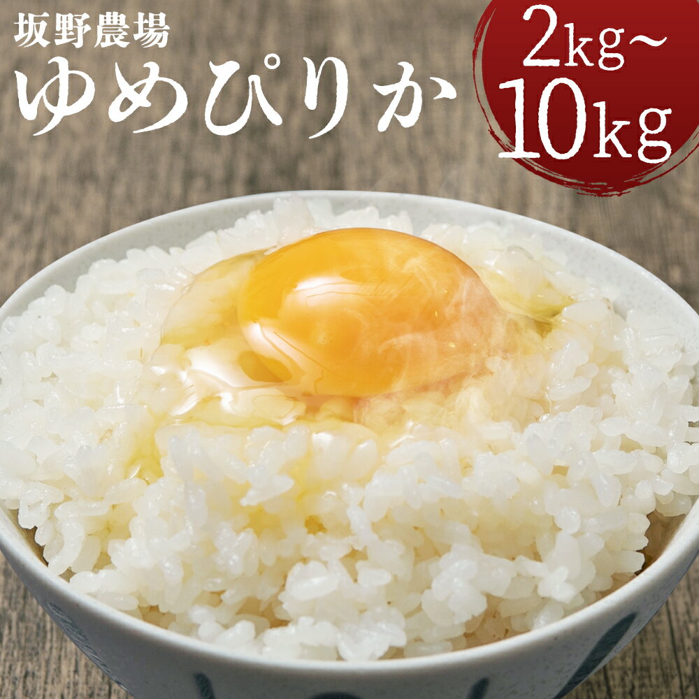 令和7年産 らんこし米 ゆめぴりか 2kg/5kg/10kg 選べる内容量 お米 白米 精米 北海道産 蘭越町産 送料無料