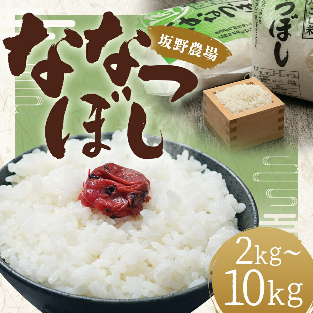 【ふるさと納税】令和7年産 らんこし米 ななつぼし 2kg/5kg/10kg 選べる内容量 お米 白米 精米 北海道産 蘭越町産 送料無料 - 画像3