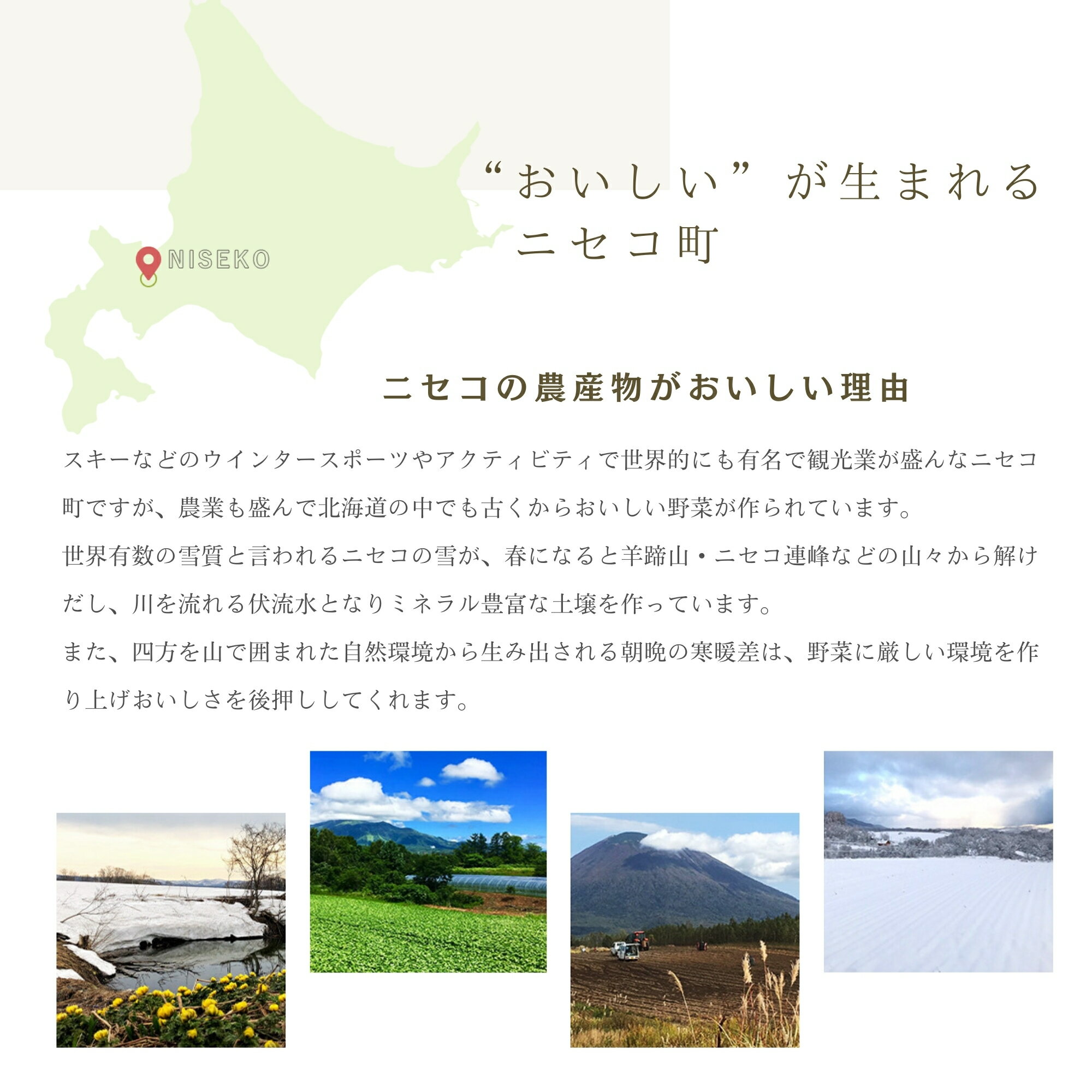 【ふるさと納税】《2026年分受付中》甘くてほくほく!北海道ニセコ名産「キタアカリ」新じゃが10kg/高橋農園【3700501】 - 画像3