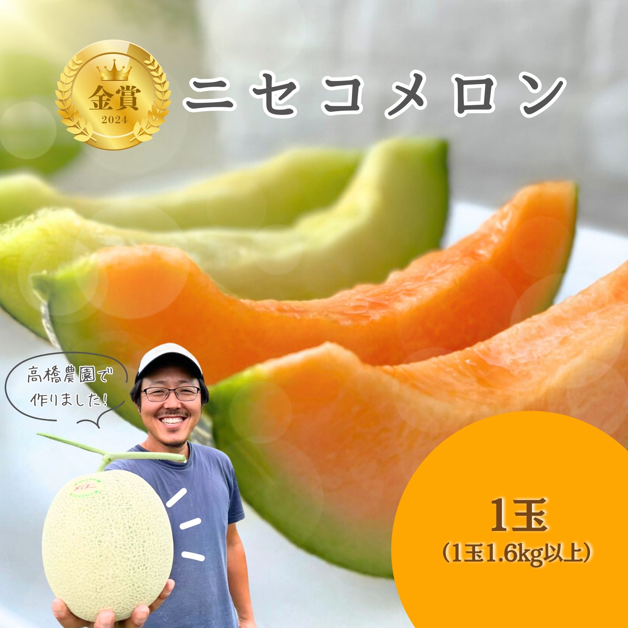 《2026年分受付中》糖度13度以上!市場には出回らない北海道ニセコメロン1玉（1.6kg以上）/高橋農園【3700101】
