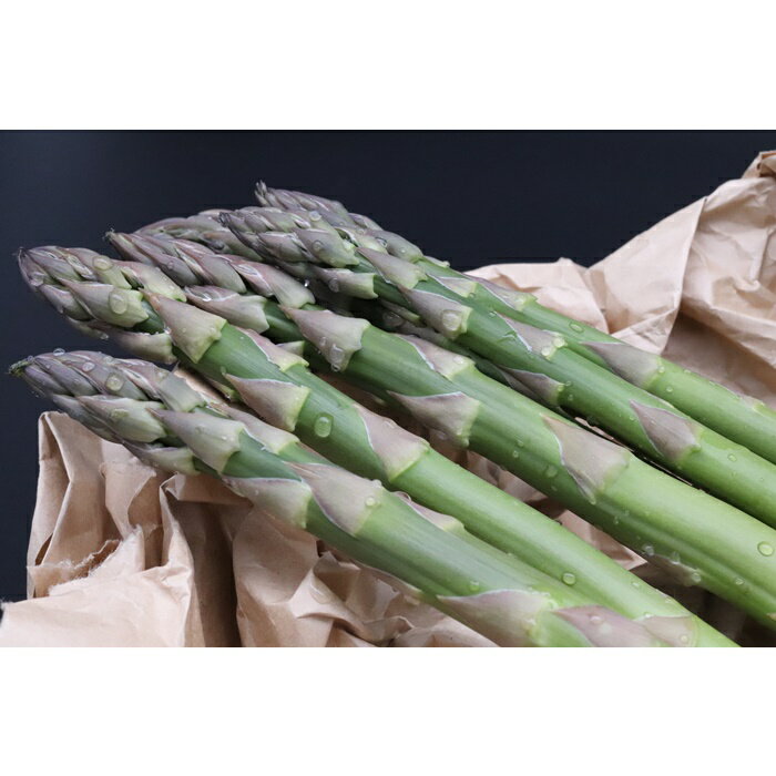 【ふるさと納税】＜数量限定・早期予約＞北海道真狩村産　グリーンアスパラ約1kg【2026年産】【0107901】 - 画像3