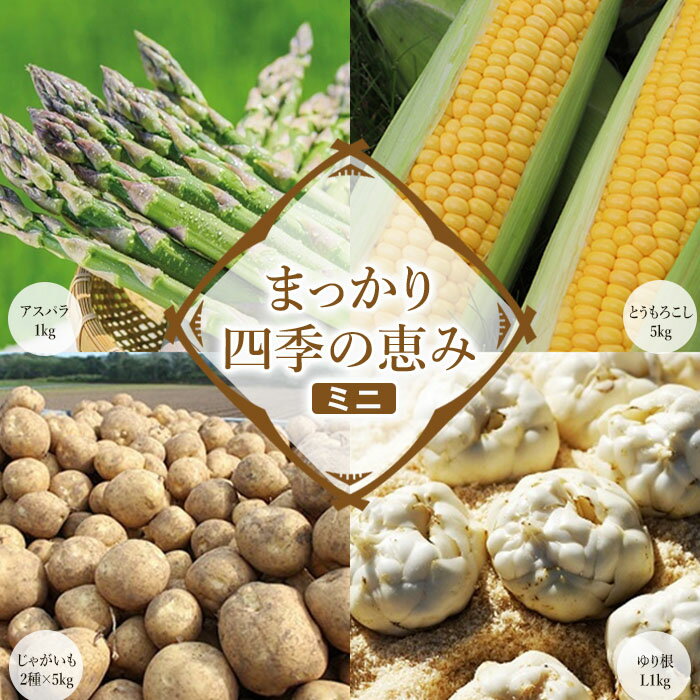 【2026年産】まっかり四季の恵み（ミニ）(アスパラ1kg、とうもろこし5kg、じゃがいも2種×5kg、ゆり根L1kg)【0117701】