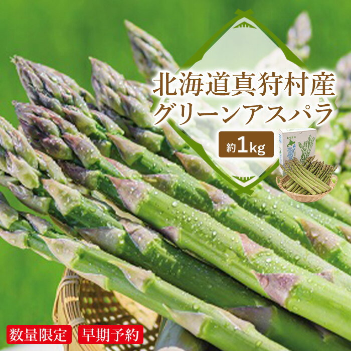 ＜数量限定・早期予約＞北海道真狩村産　グリーンアスパラ約1kg【2026年産】【0107901】