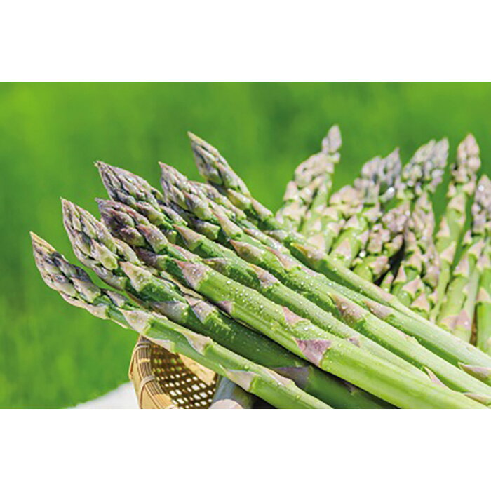 【ふるさと納税】【2026年産】まっかり四季の恵み（ミニ）(アスパラ1kg、とうもろこし5kg、じゃがいも2種×5kg、ゆり根L1kg)【0117701】 - 画像2